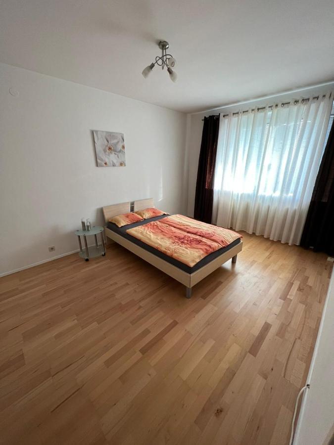 Sehr Gemutliche Wohnung Baden Exteriér fotografie